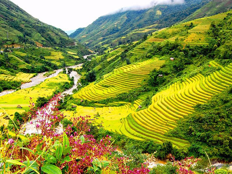 含龙山风景区-Ham Rong mountain & San May